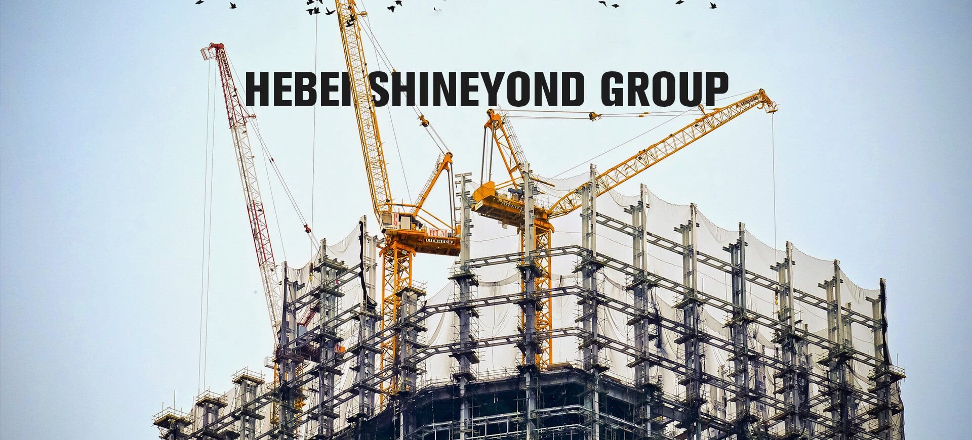 Hebei Shineyond Group